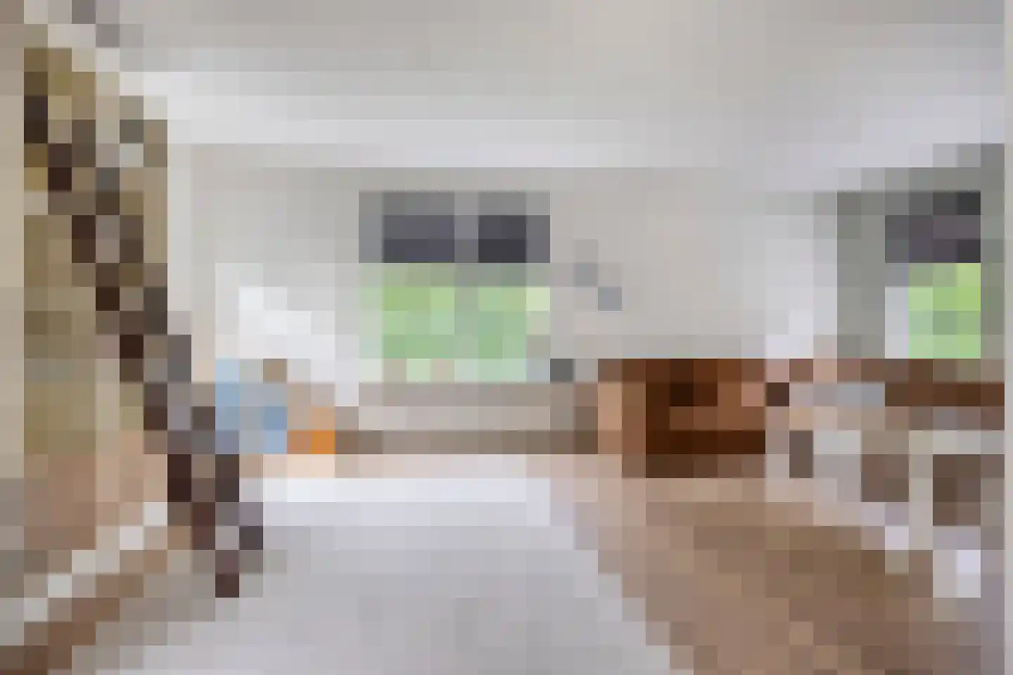 Meester Holtropstraat 28 Bruchterveld thumbnail 12