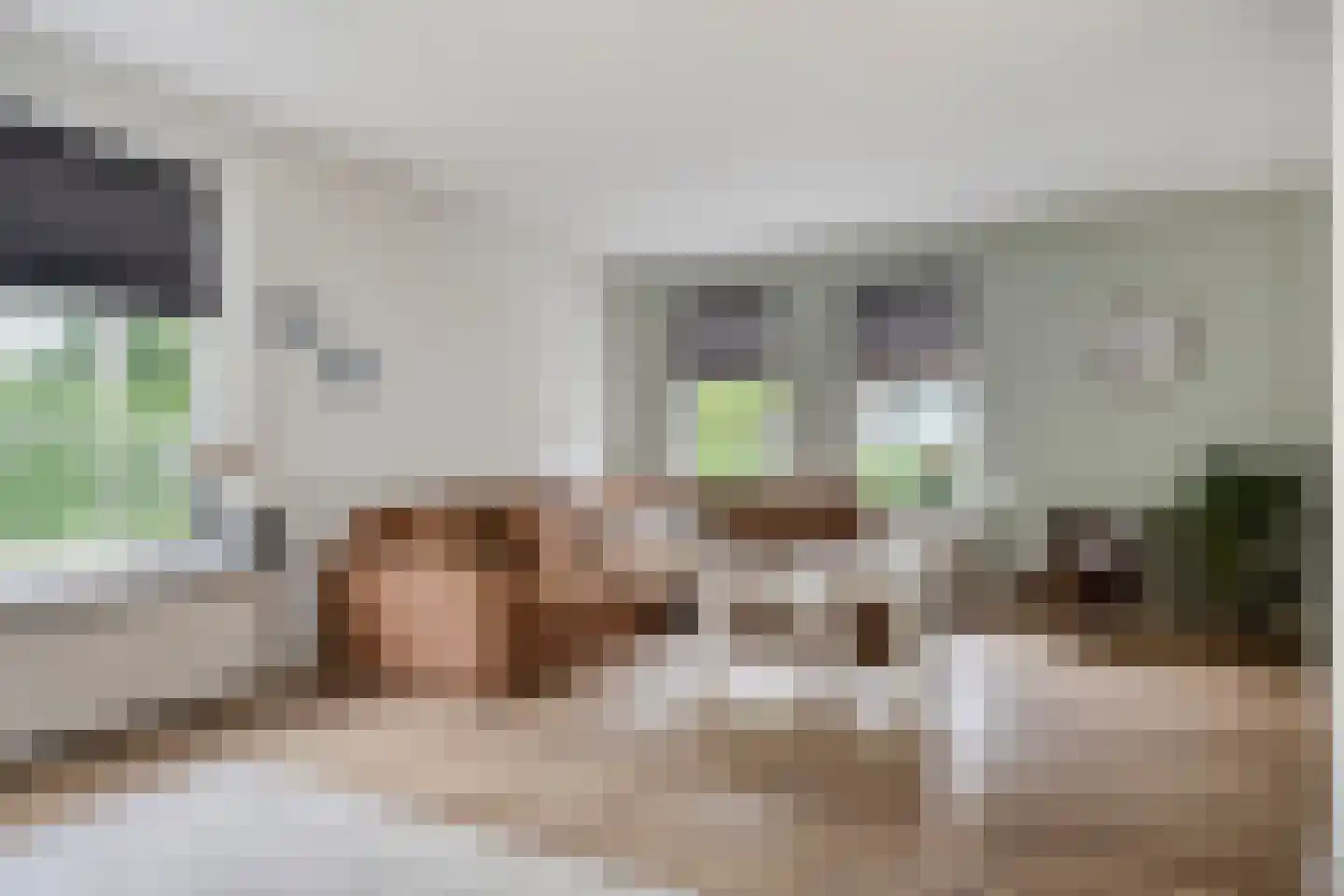 Meester Holtropstraat 28 Bruchterveld thumbnail 13