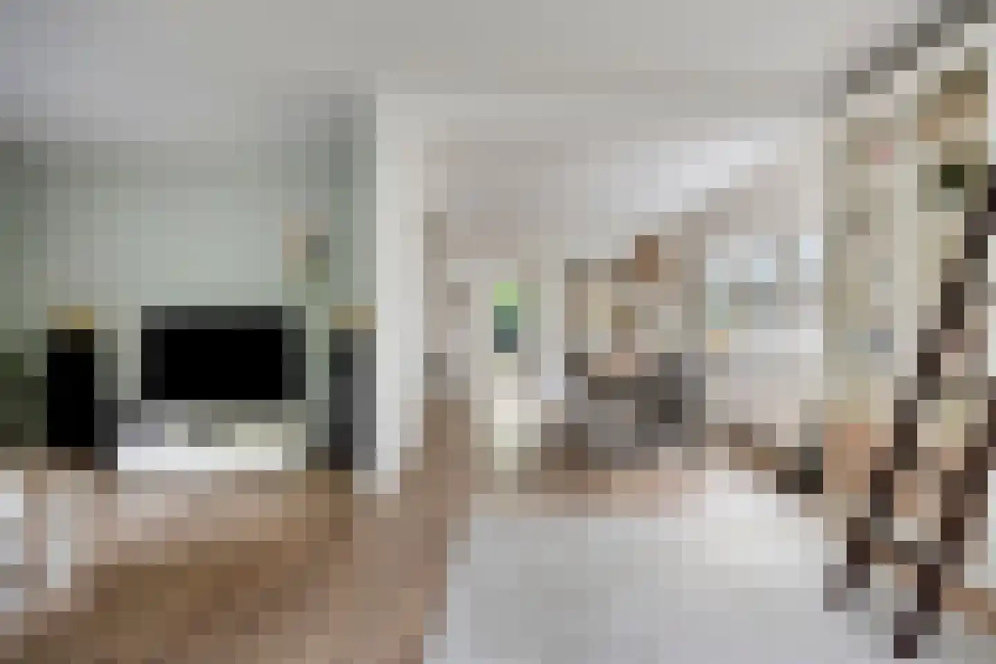 Meester Holtropstraat 28 Bruchterveld thumbnail 16