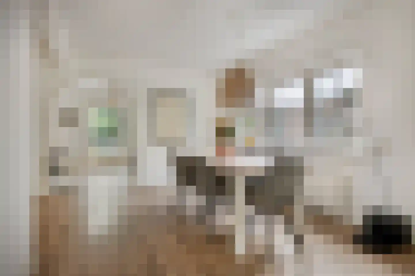 Meester Holtropstraat 28 Bruchterveld thumbnail 17