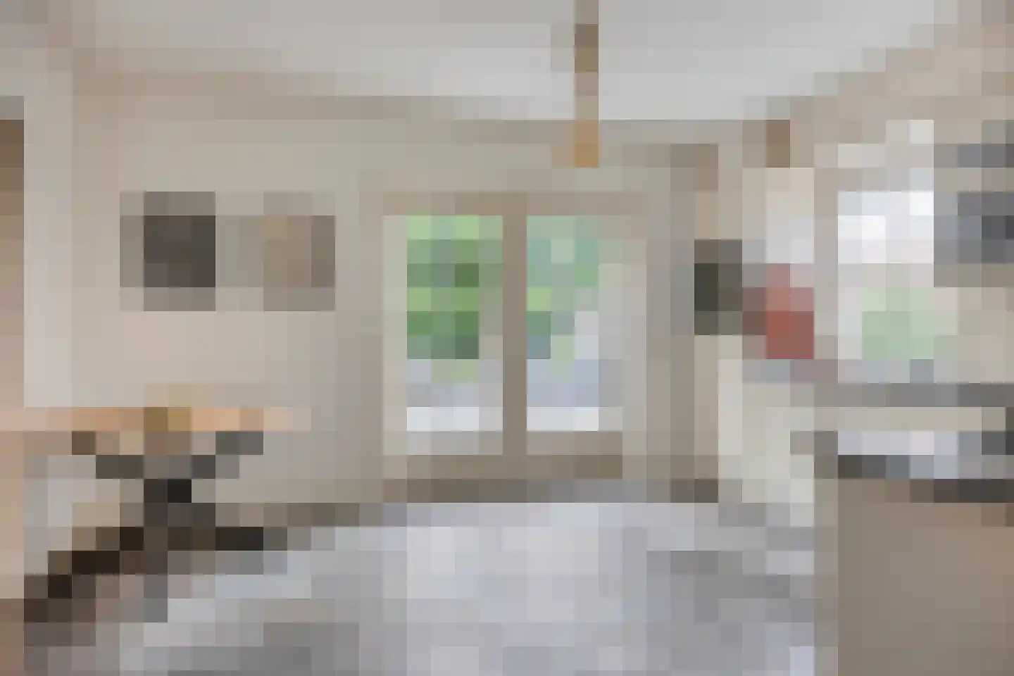 Meester Holtropstraat 28 Bruchterveld thumbnail 18