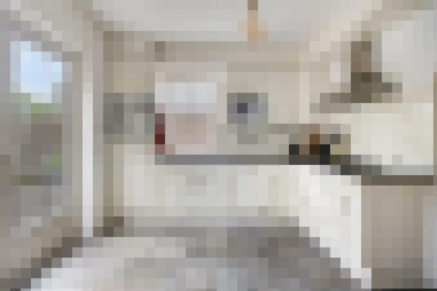 Meester Holtropstraat 28 Bruchterveld thumbnail 19