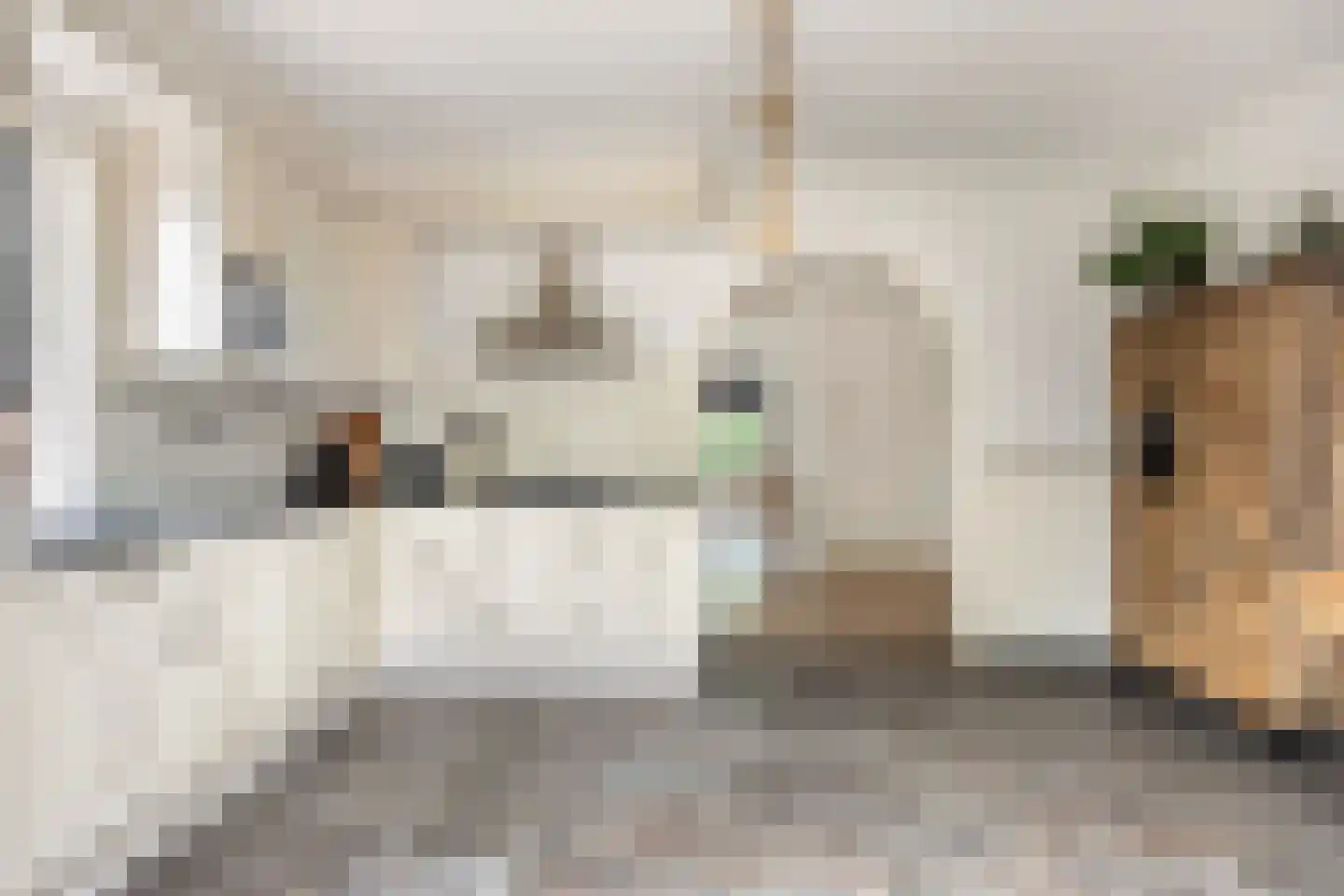 Meester Holtropstraat 28 Bruchterveld foto 2