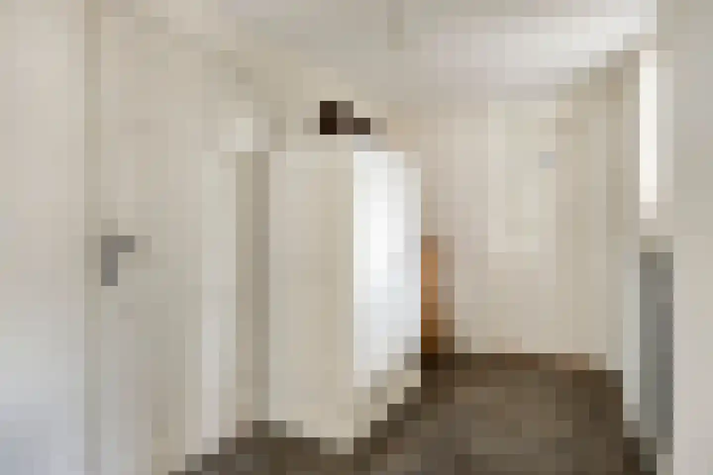 Meester Holtropstraat 28 Bruchterveld thumbnail 21