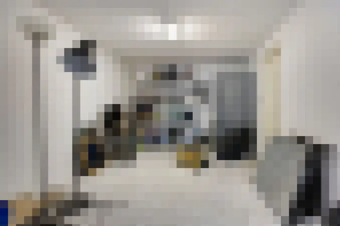 Meester Holtropstraat 28 Bruchterveld thumbnail 22