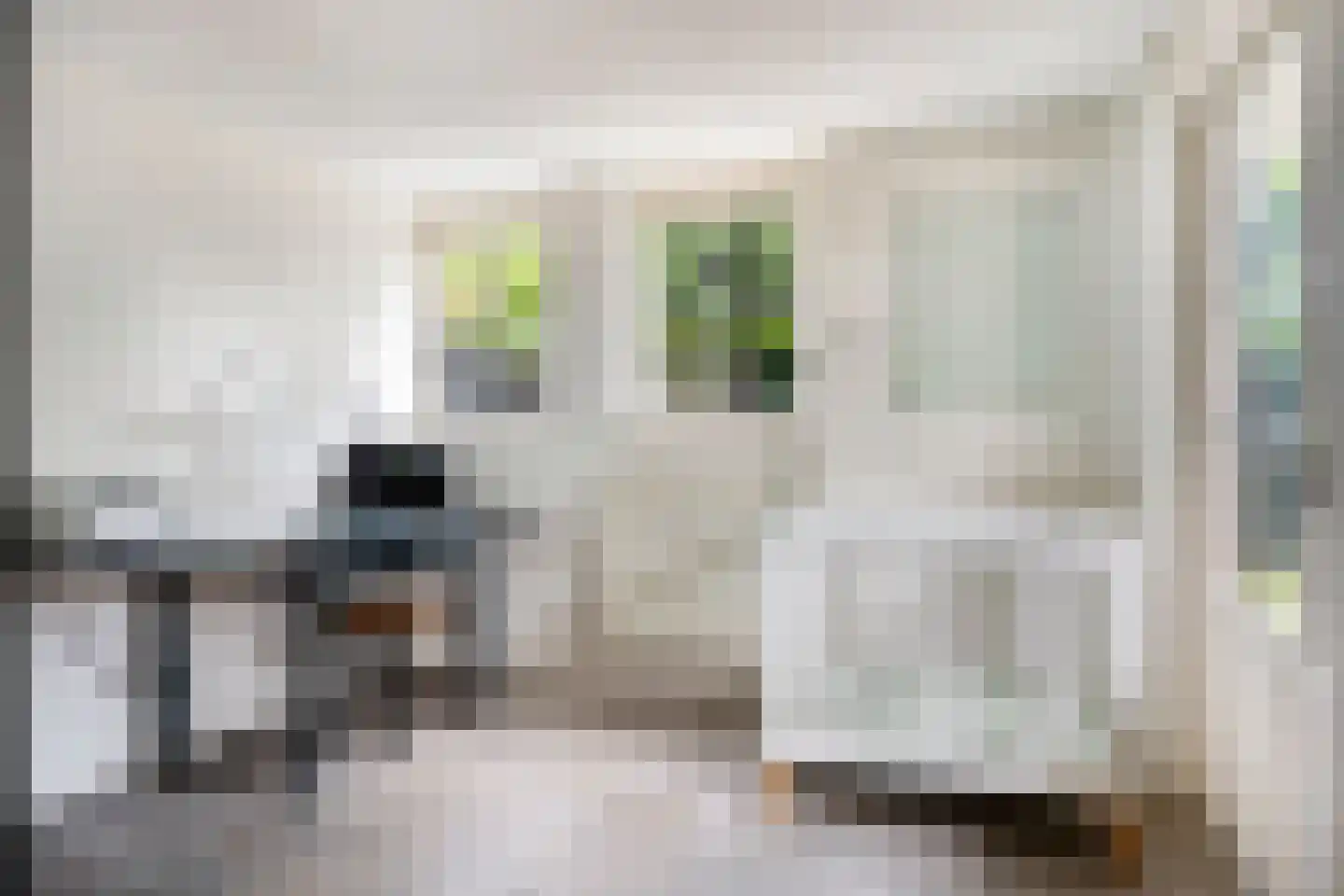 Meester Holtropstraat 28 Bruchterveld thumbnail 23