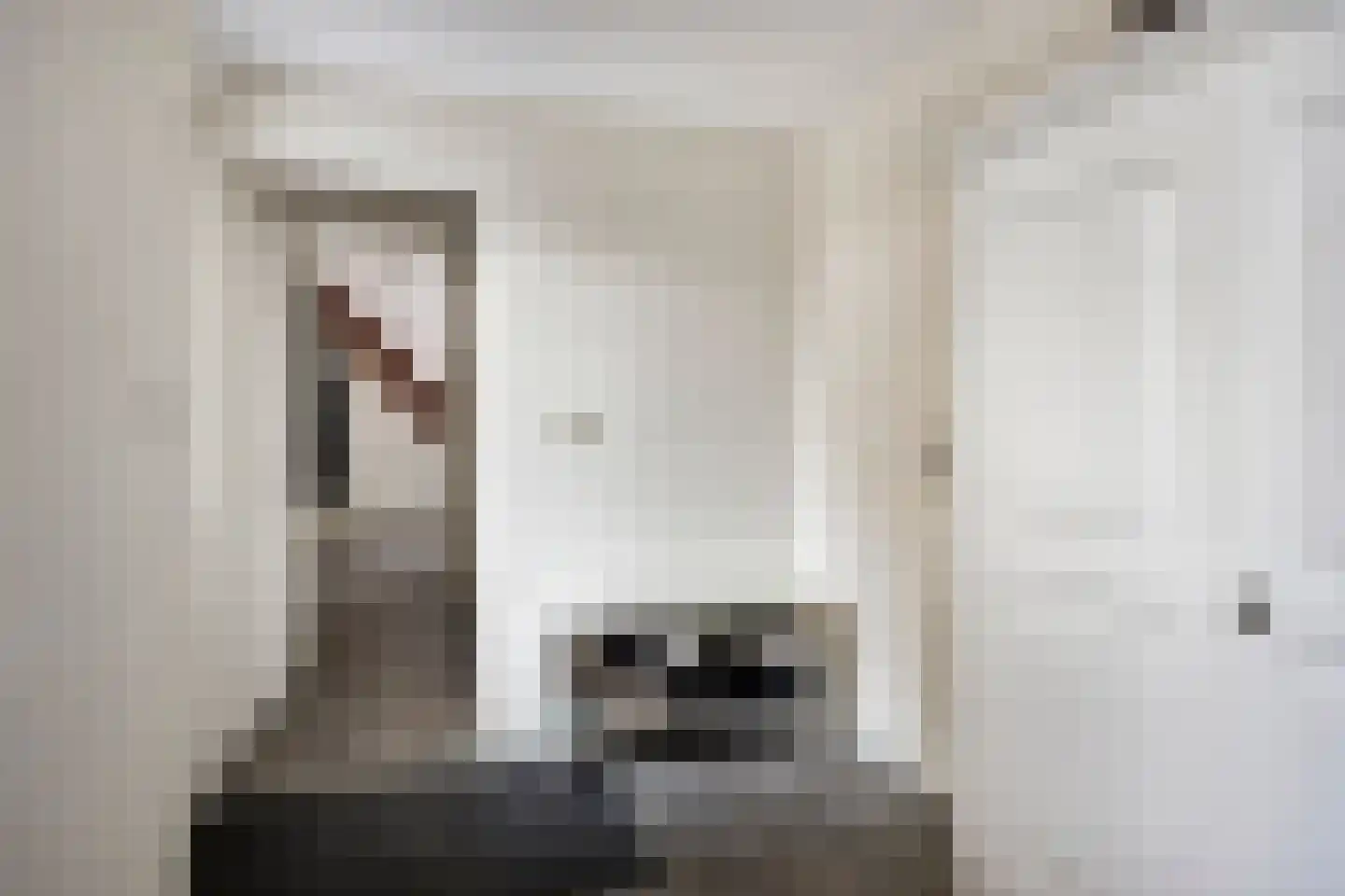 Meester Holtropstraat 28 Bruchterveld thumbnail 24