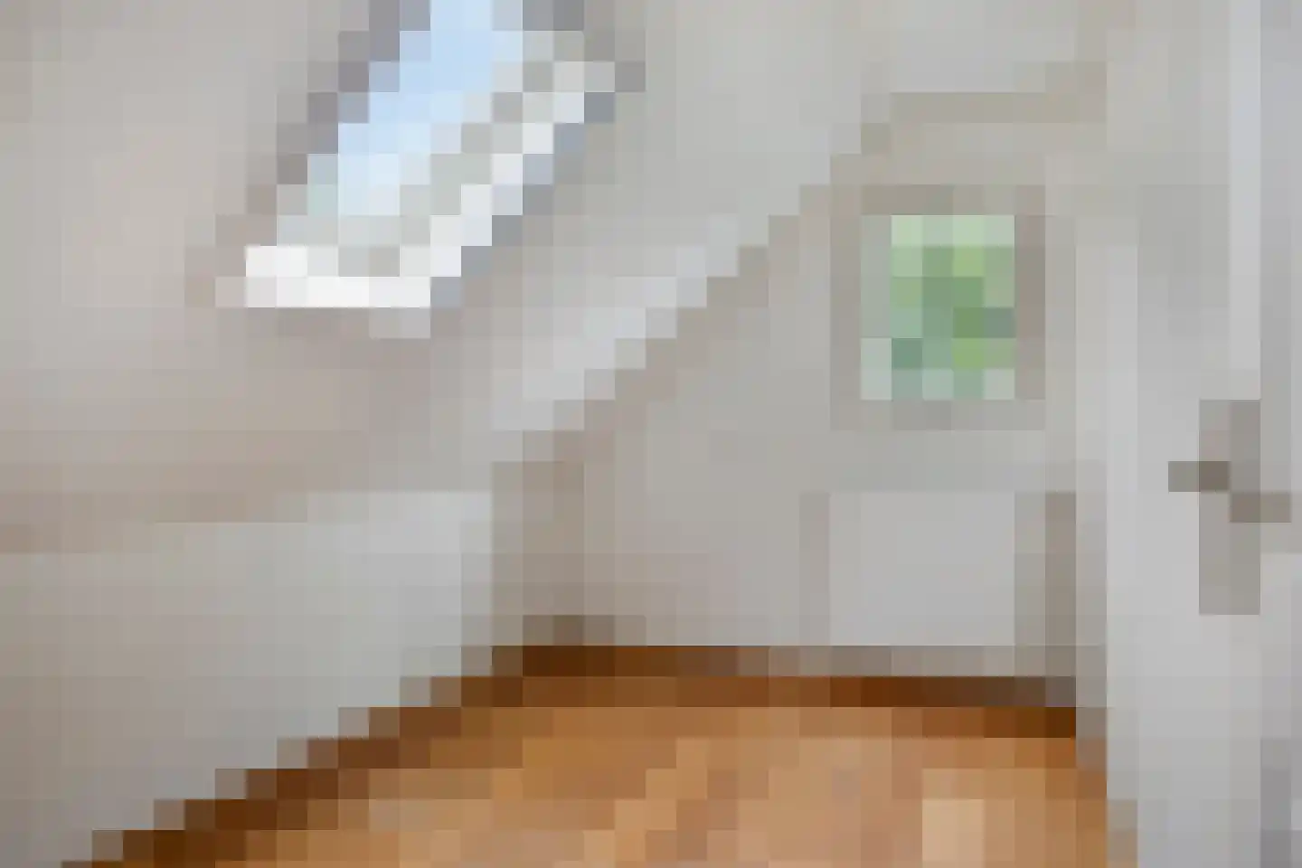 Meester Holtropstraat 28 Bruchterveld thumbnail 30