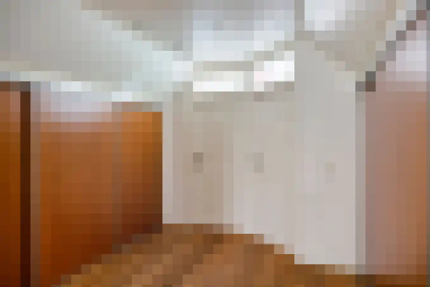 Meester Holtropstraat 28 Bruchterveld thumbnail 32