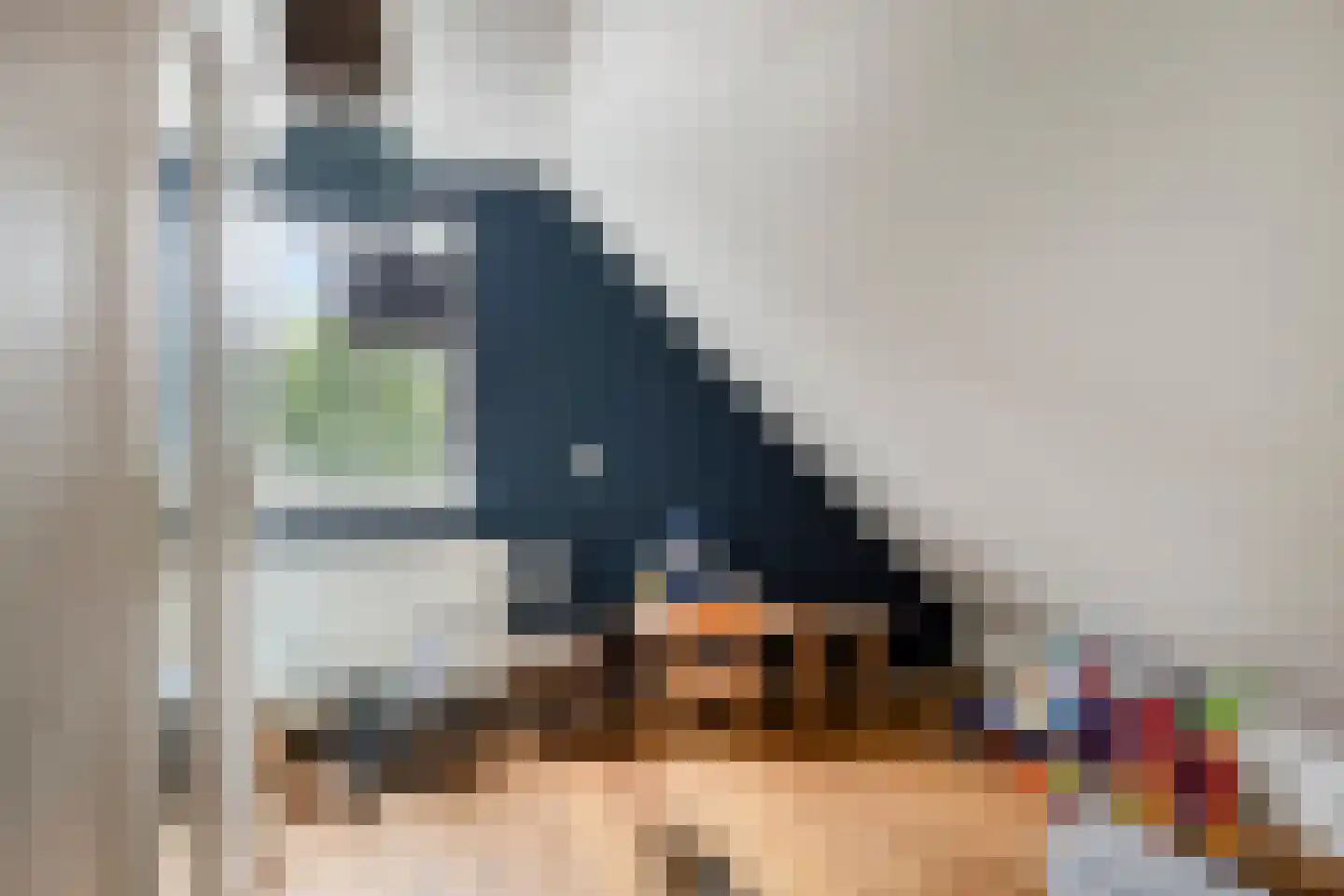 Meester Holtropstraat 28 Bruchterveld thumbnail 33