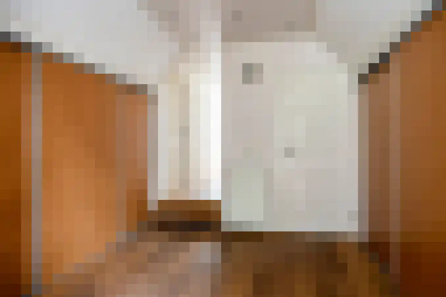 Meester Holtropstraat 28 Bruchterveld thumbnail 36