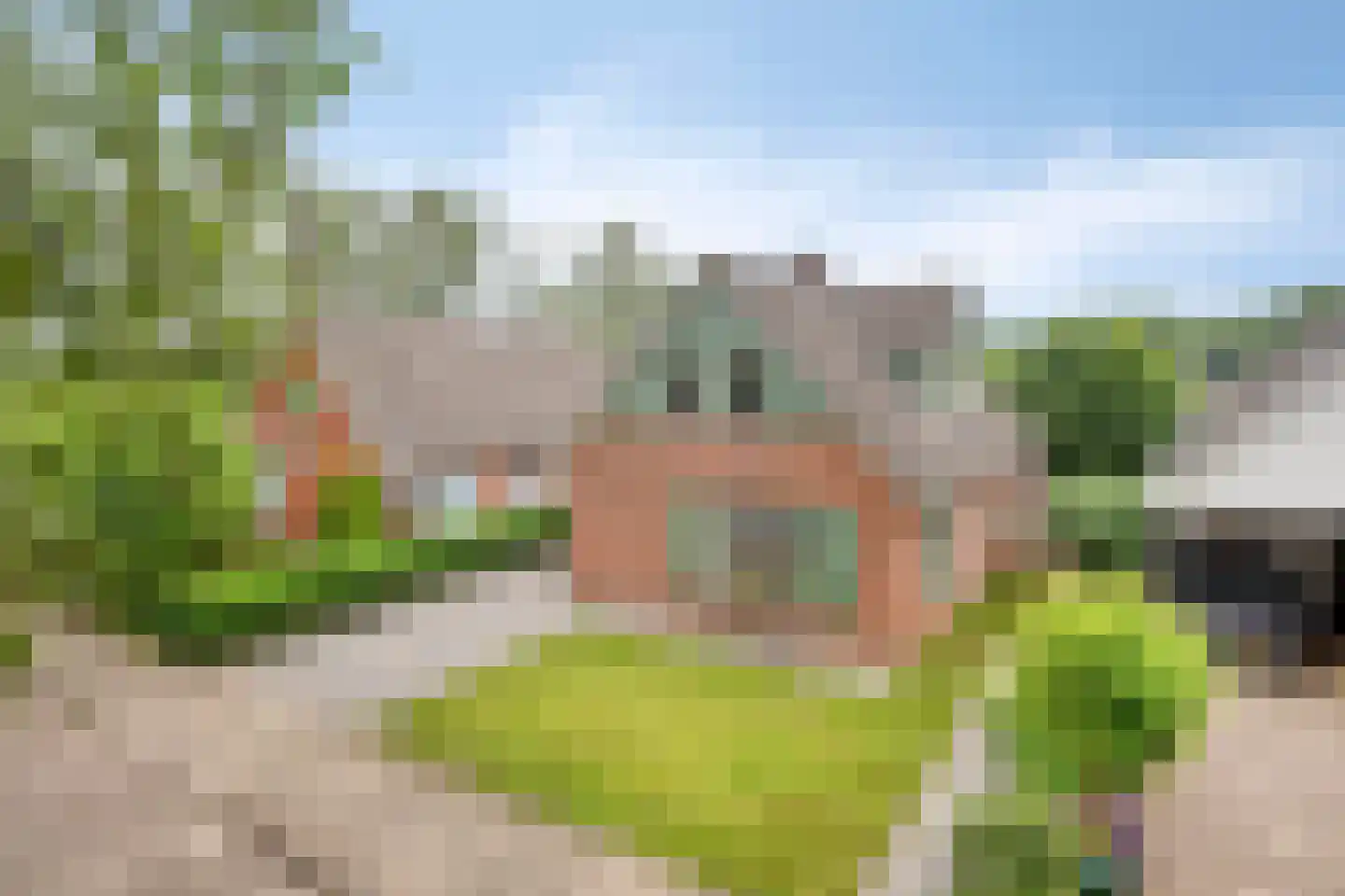 Meester Holtropstraat 28 Bruchterveld thumbnail 4