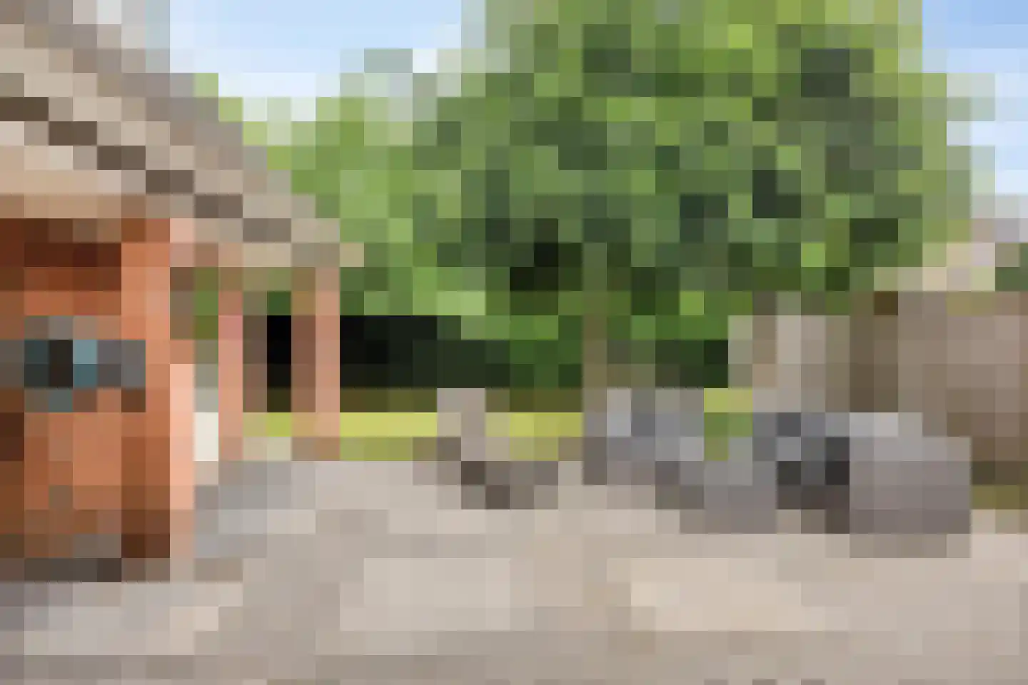 Meester Holtropstraat 28 Bruchterveld thumbnail 40
