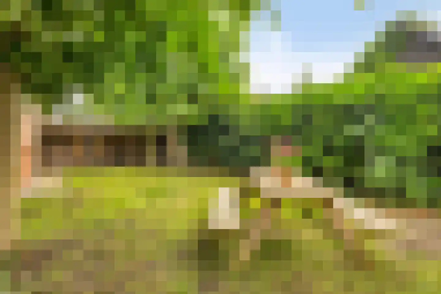 Meester Holtropstraat 28 Bruchterveld thumbnail 41