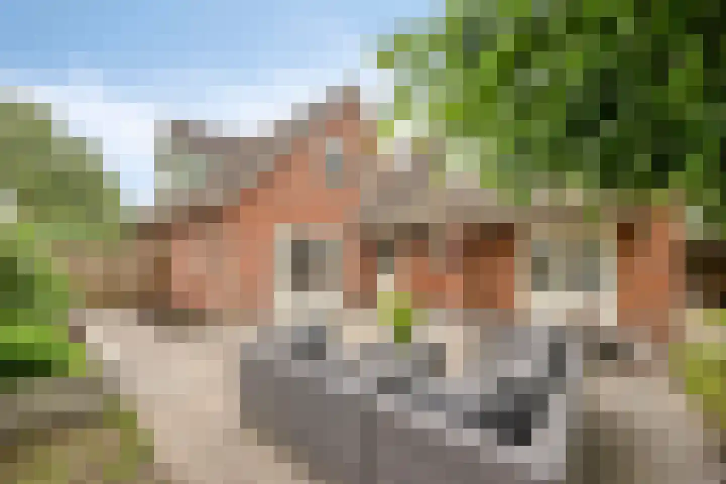 Meester Holtropstraat 28 Bruchterveld thumbnail 42
