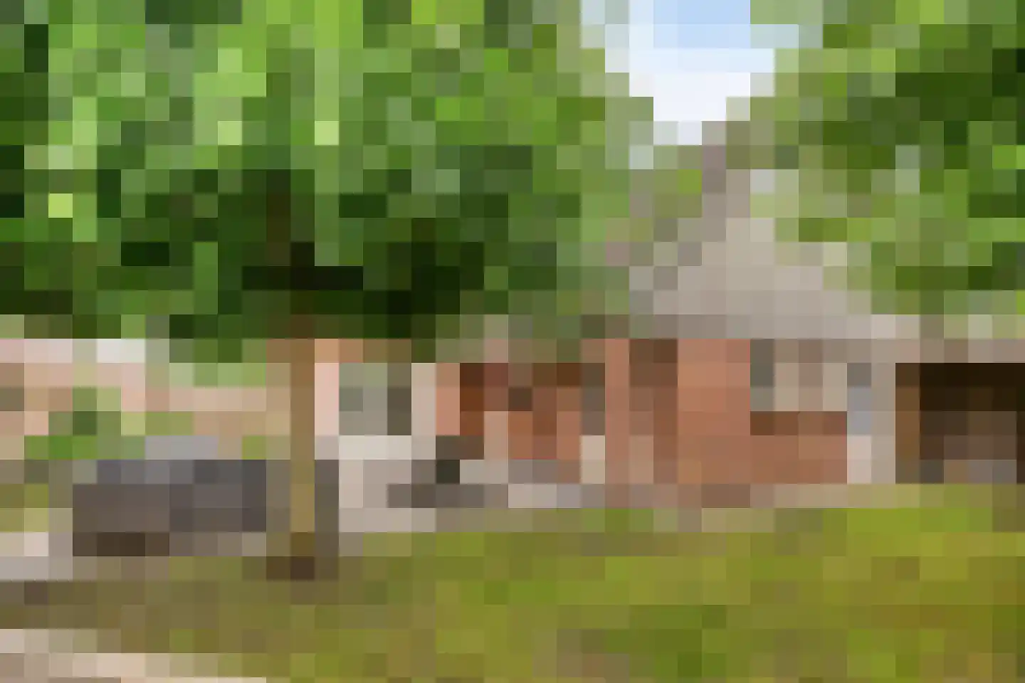 Meester Holtropstraat 28 Bruchterveld thumbnail 43