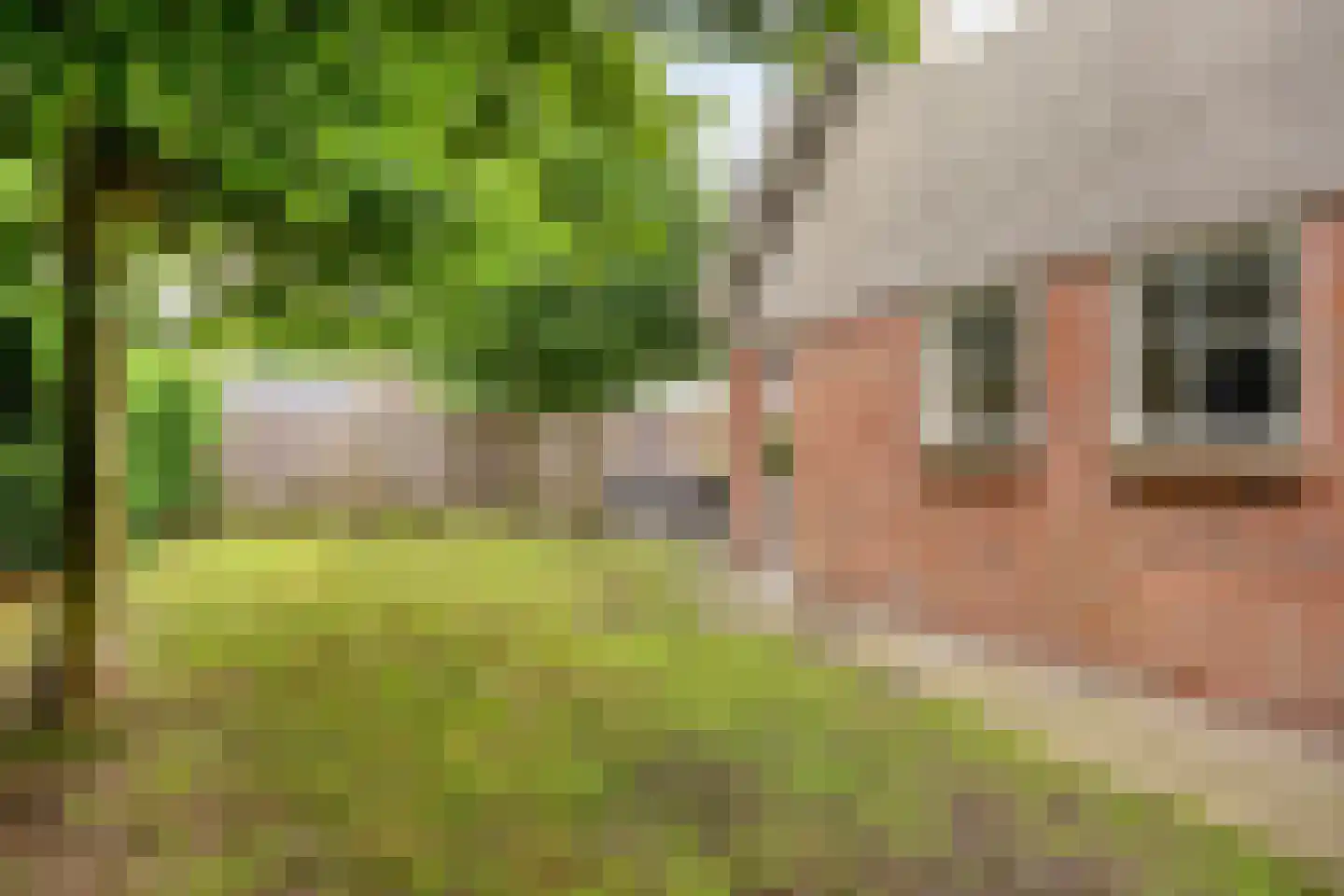Meester Holtropstraat 28 Bruchterveld thumbnail 44