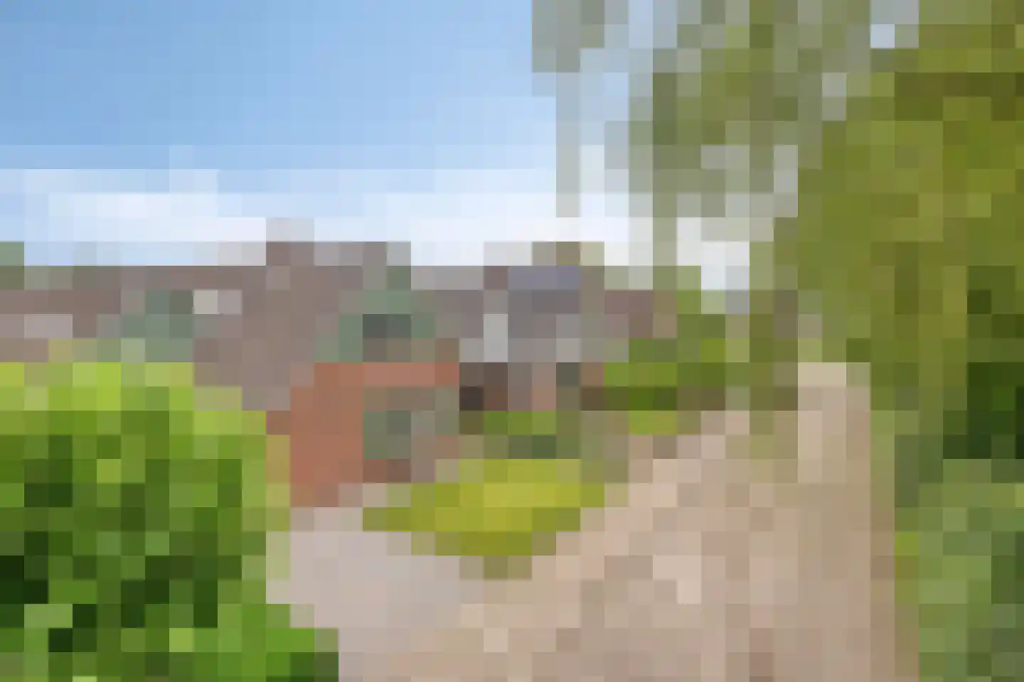 Meester Holtropstraat 28 Bruchterveld thumbnail 49