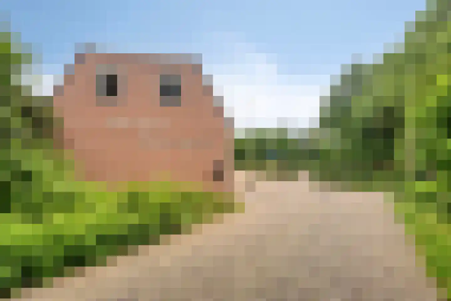 Meester Holtropstraat 28 Bruchterveld thumbnail 53