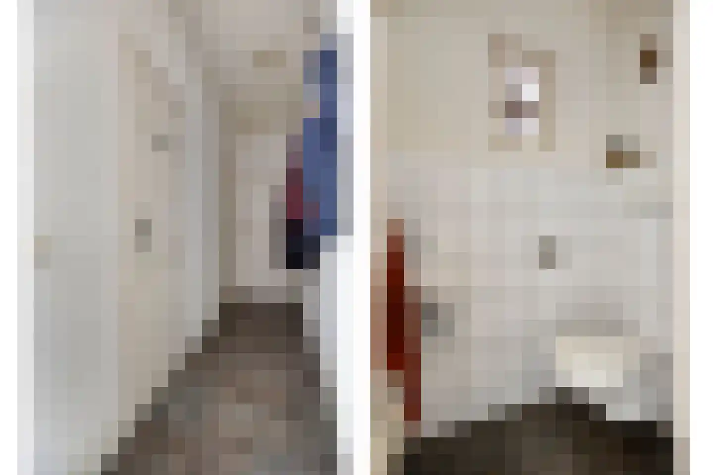 Meester Holtropstraat 28 Bruchterveld thumbnail 8