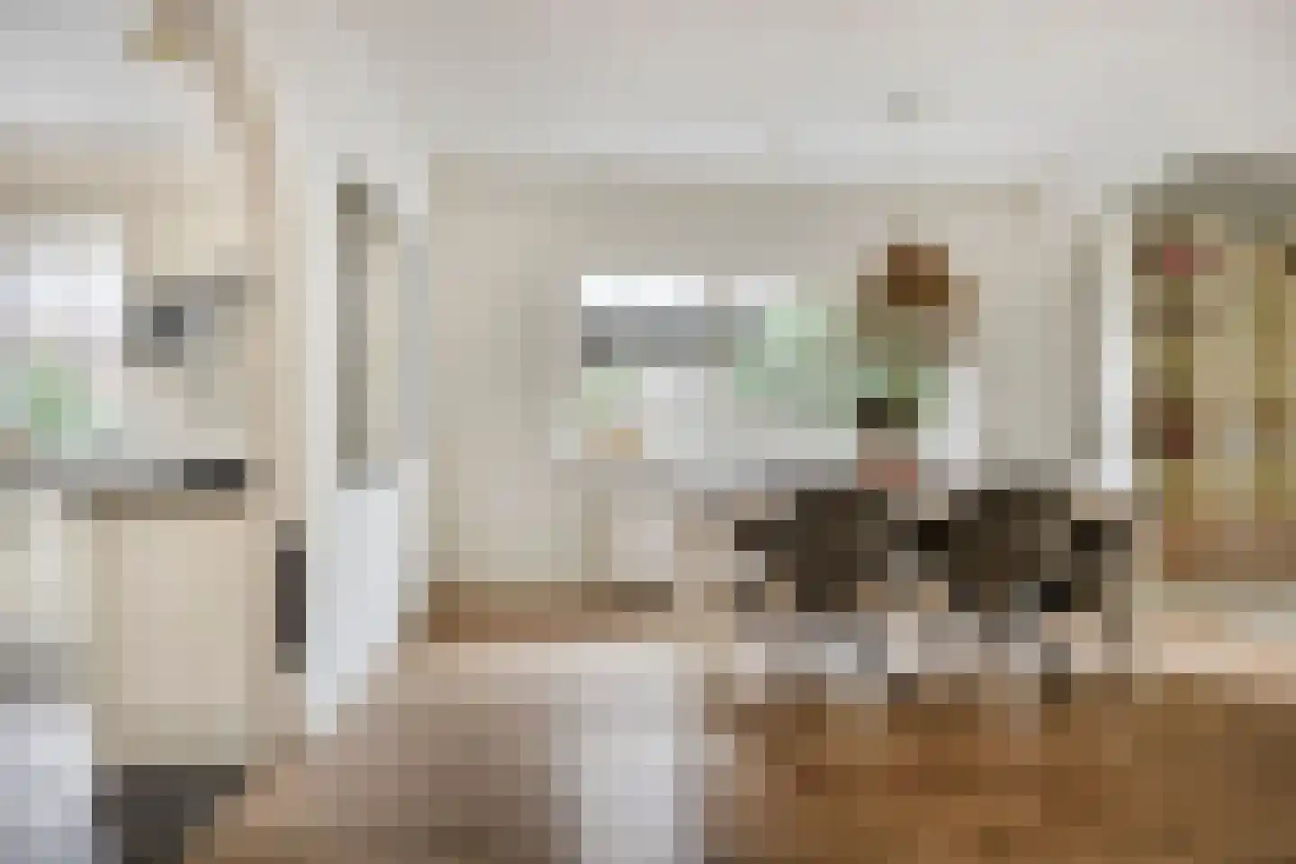 Meester Holtropstraat 28 Bruchterveld thumbnail 9
