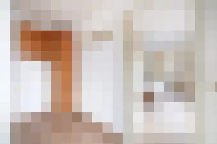 Meester J. de Vriesstraat 3 Julianadorp thumbnail 11