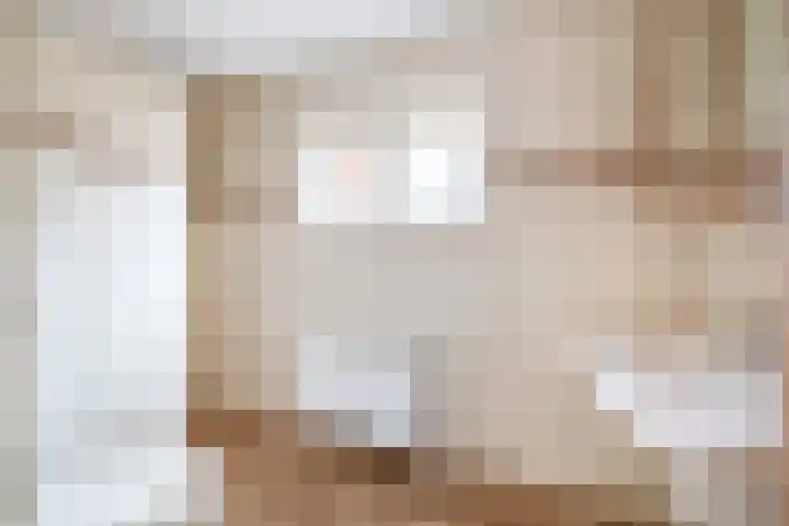 Meester J. de Vriesstraat 3 Julianadorp thumbnail 15