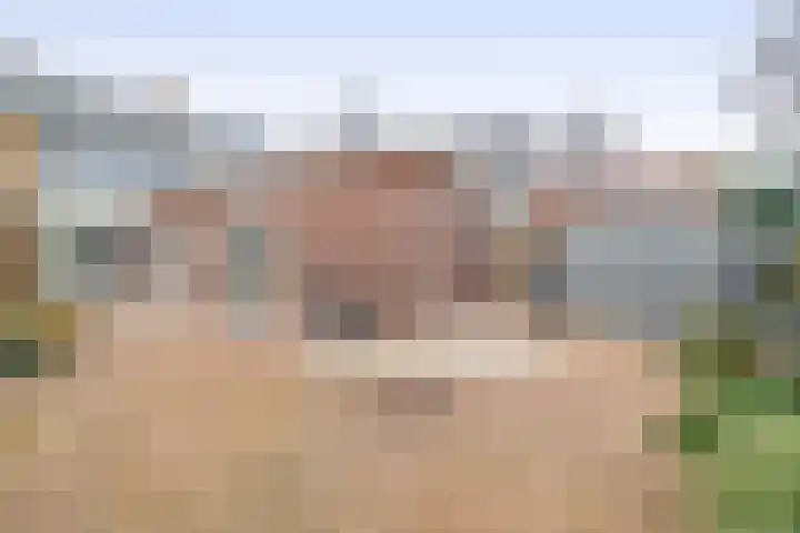 Meester J. de Vriesstraat 3 Julianadorp thumbnail 20