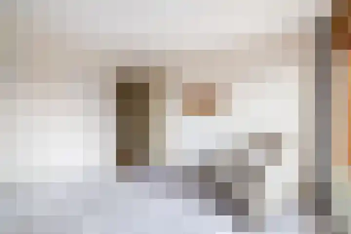 Meester J. de Vriesstraat 3 Julianadorp thumbnail 29