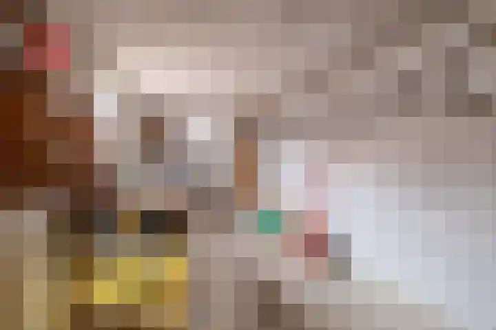 Meester J. de Vriesstraat 3 Julianadorp thumbnail 32