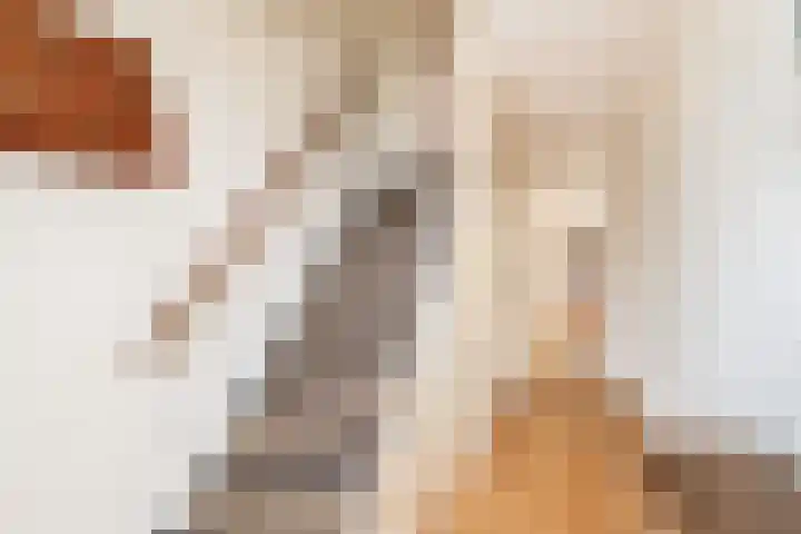 Meester J. de Vriesstraat 3 Julianadorp thumbnail 4