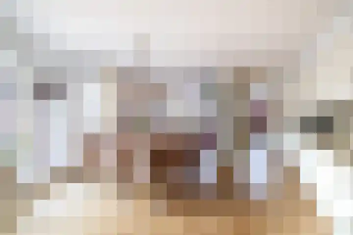Meester J. de Vriesstraat 3 Julianadorp thumbnail 8