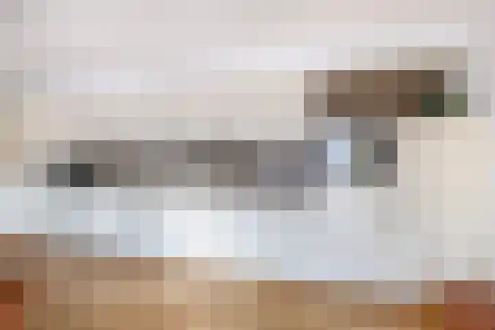 Meester J. de Vriesstraat 3 Julianadorp thumbnail 9