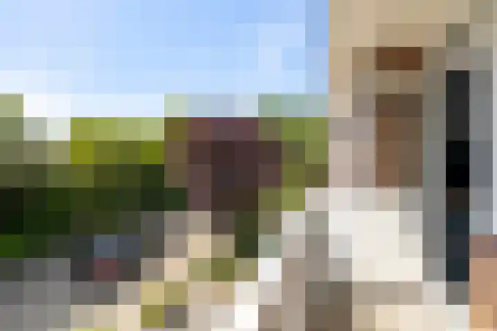 Meester J. de Vriesstraat 35 Julianadorp thumbnail 11