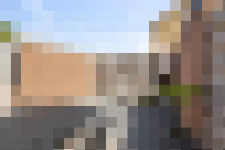 Meester J. de Vriesstraat 35 Julianadorp thumbnail 21