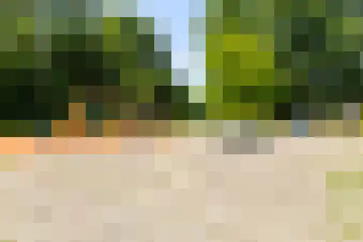 Meester J. de Vriesstraat 35 Julianadorp thumbnail 24