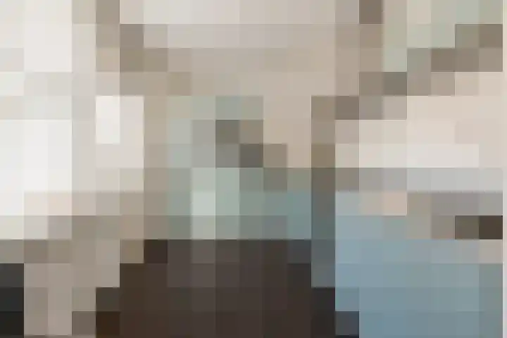 Meester J. de Vriesstraat 35 Julianadorp thumbnail 7