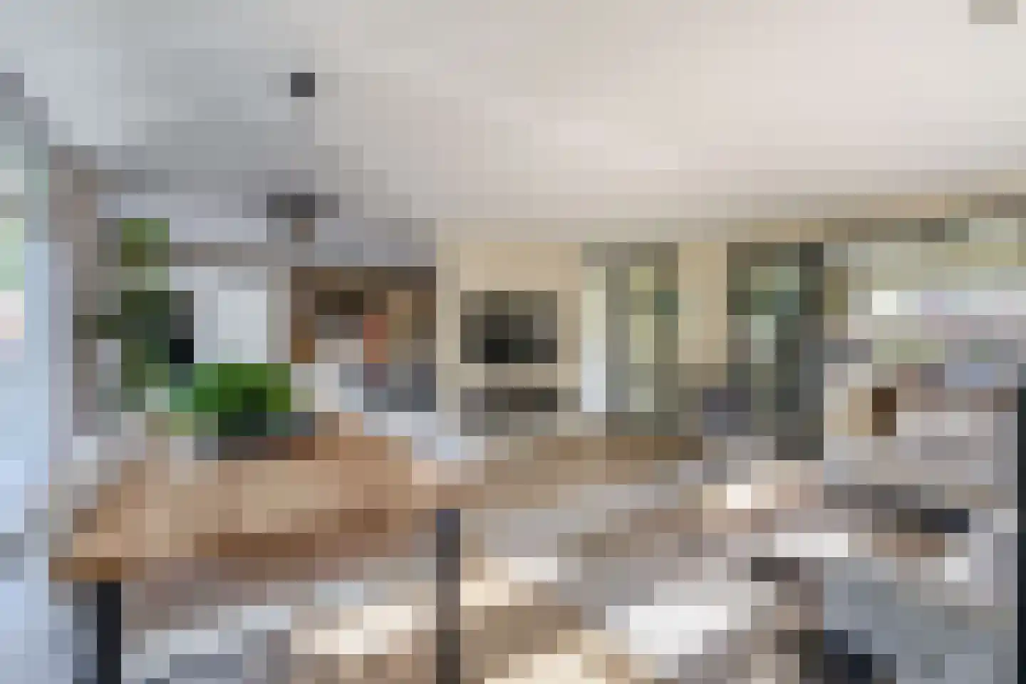 Meester J. de Vriesstraat 8 Julianadorp thumbnail 13