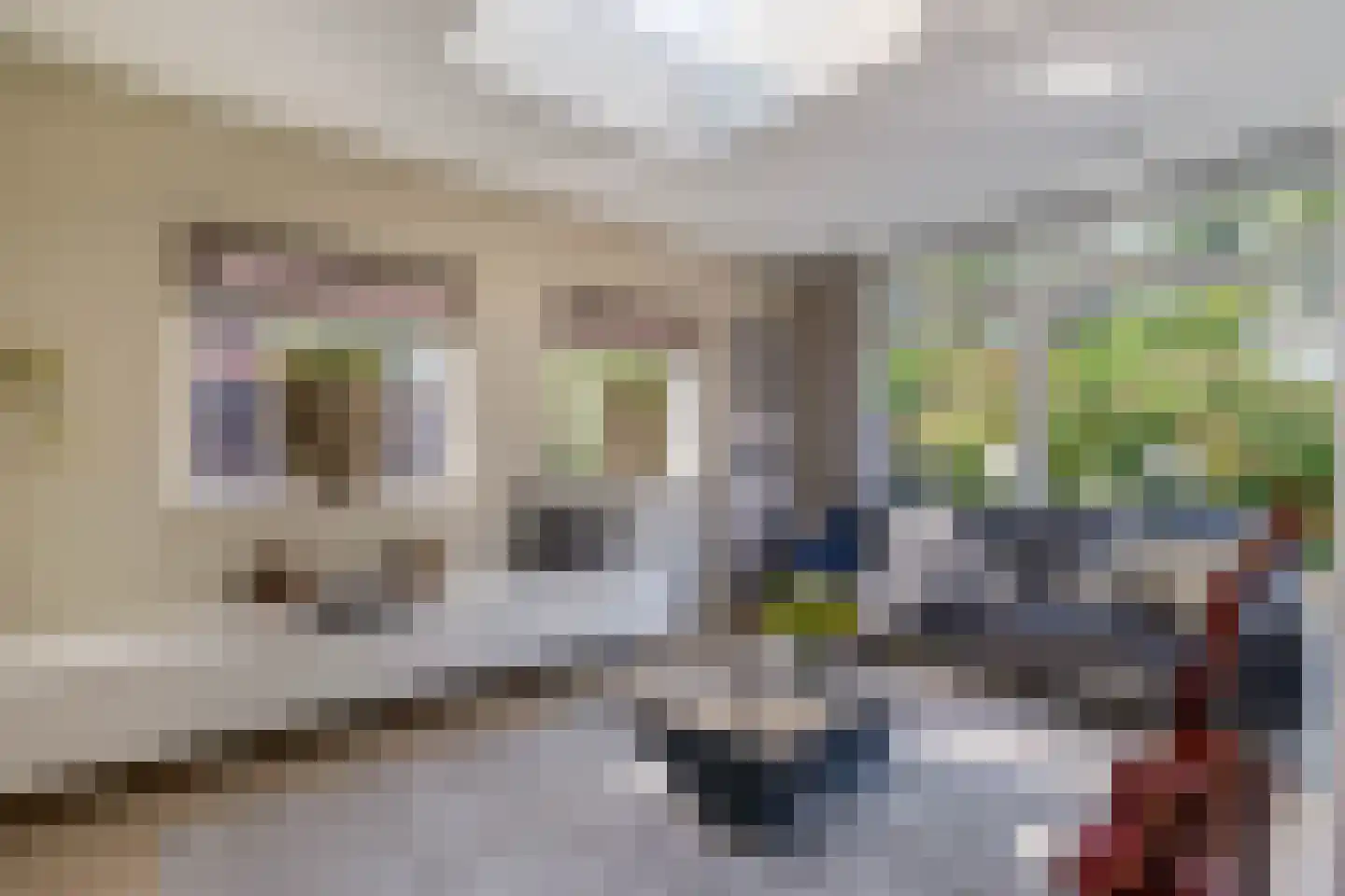 Meester J. de Vriesstraat 8 Julianadorp thumbnail 14