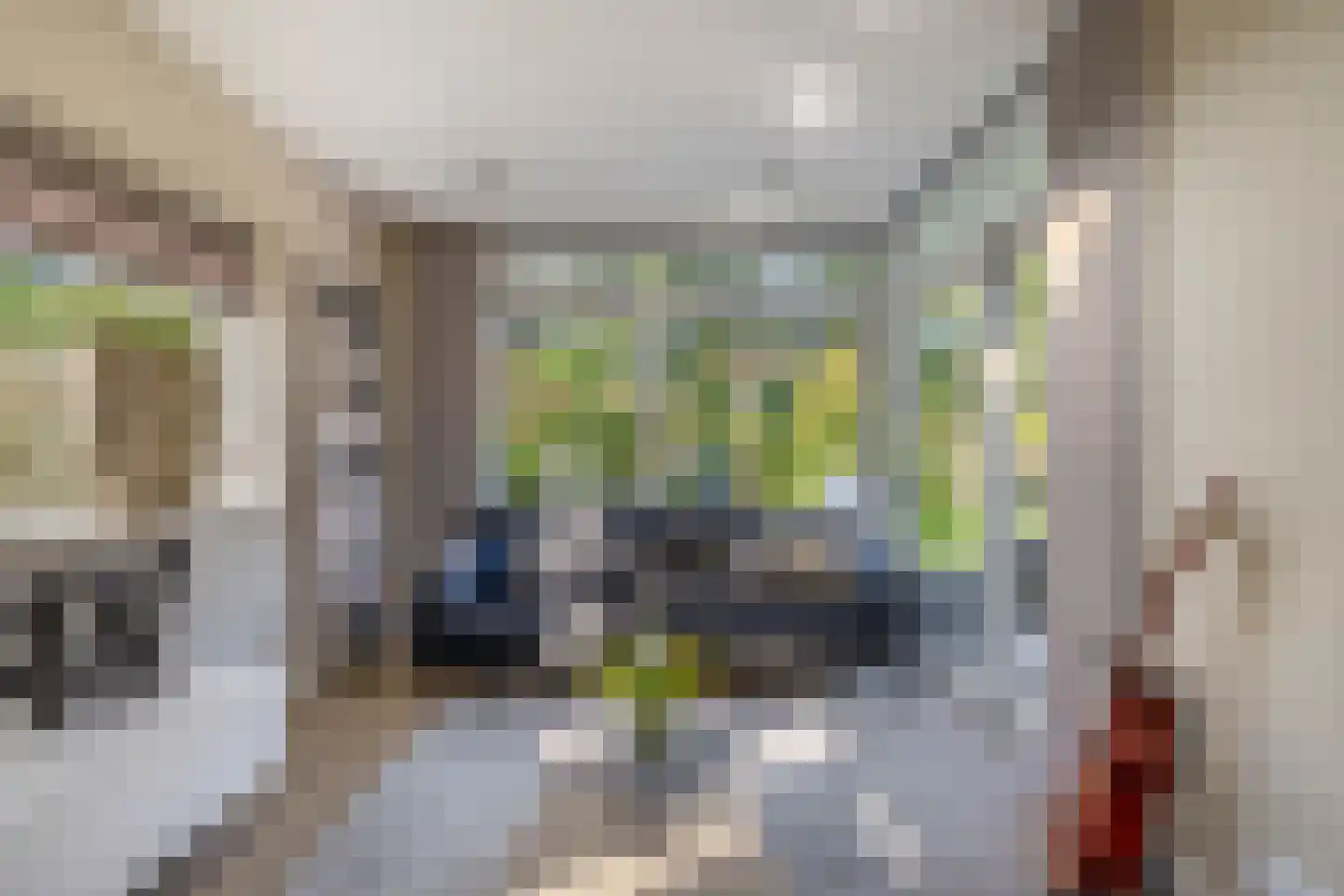 Meester J. de Vriesstraat 8 Julianadorp thumbnail 15