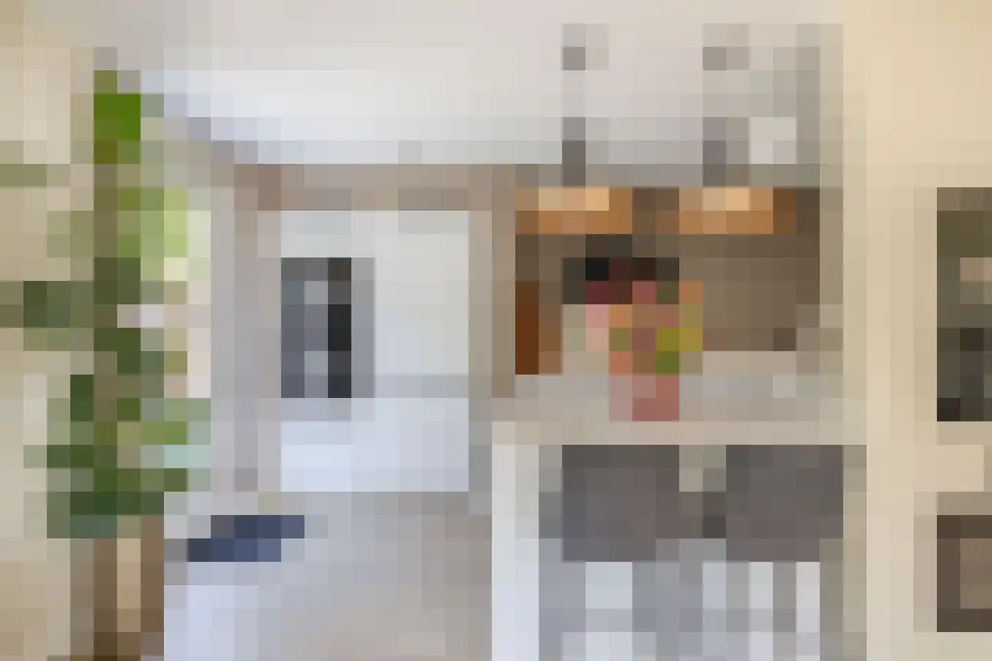 Meester J. de Vriesstraat 8 Julianadorp thumbnail 18