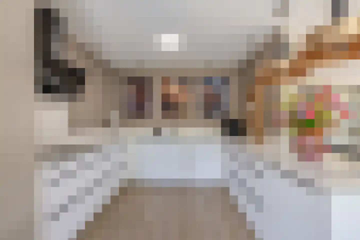 Meester J. de Vriesstraat 8 Julianadorp thumbnail 19