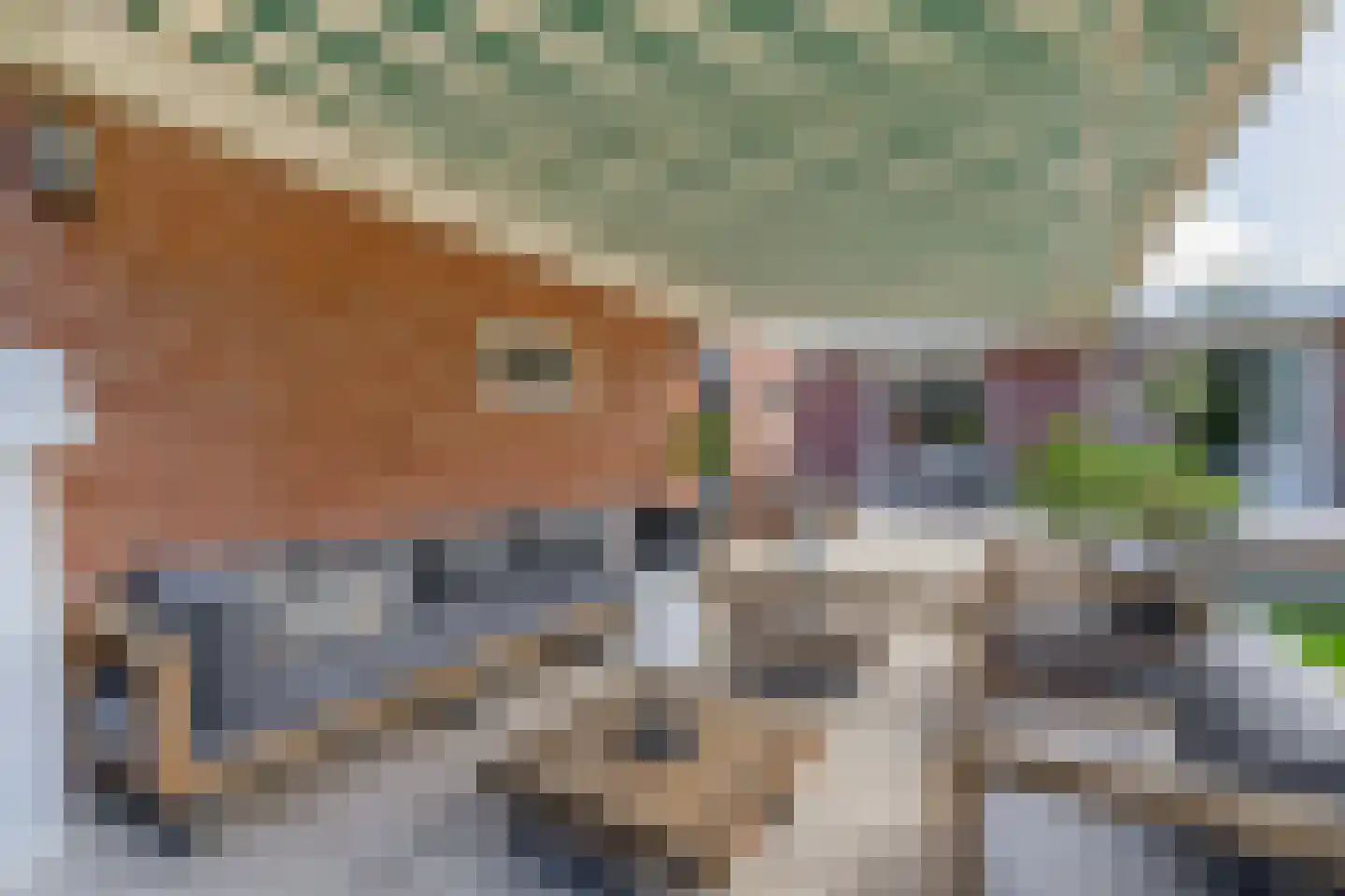 Meester J. de Vriesstraat 8 Julianadorp thumbnail 26