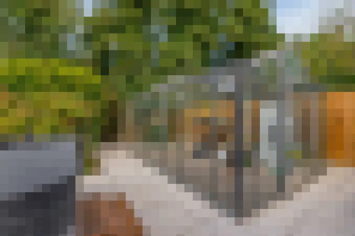 Meester J. de Vriesstraat 8 Julianadorp thumbnail 33