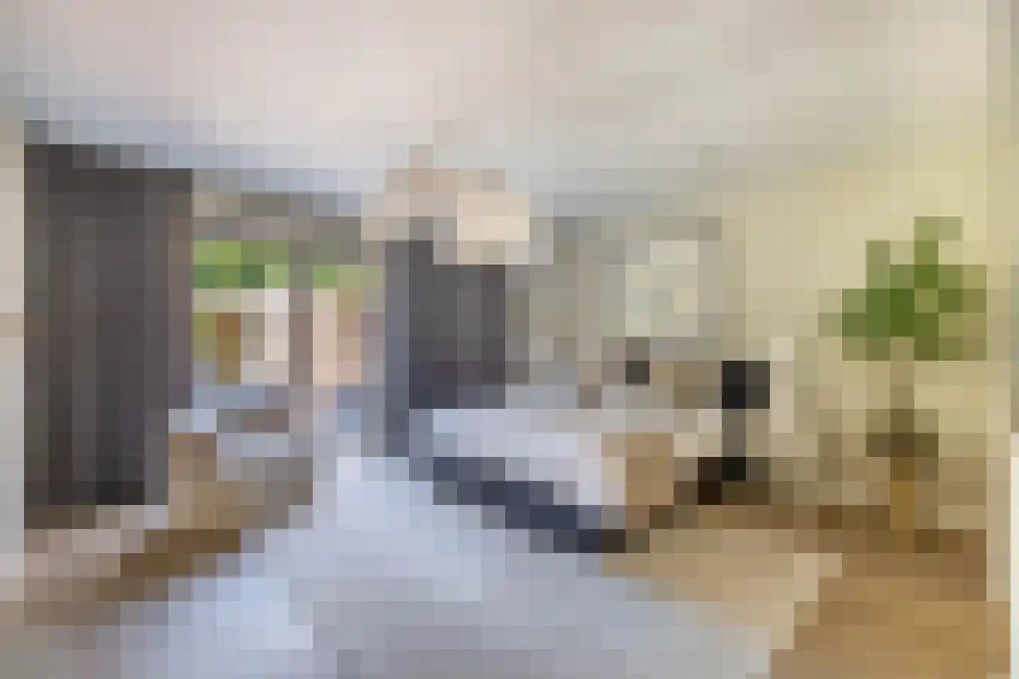 Meester J. de Vriesstraat 8 Julianadorp thumbnail 37