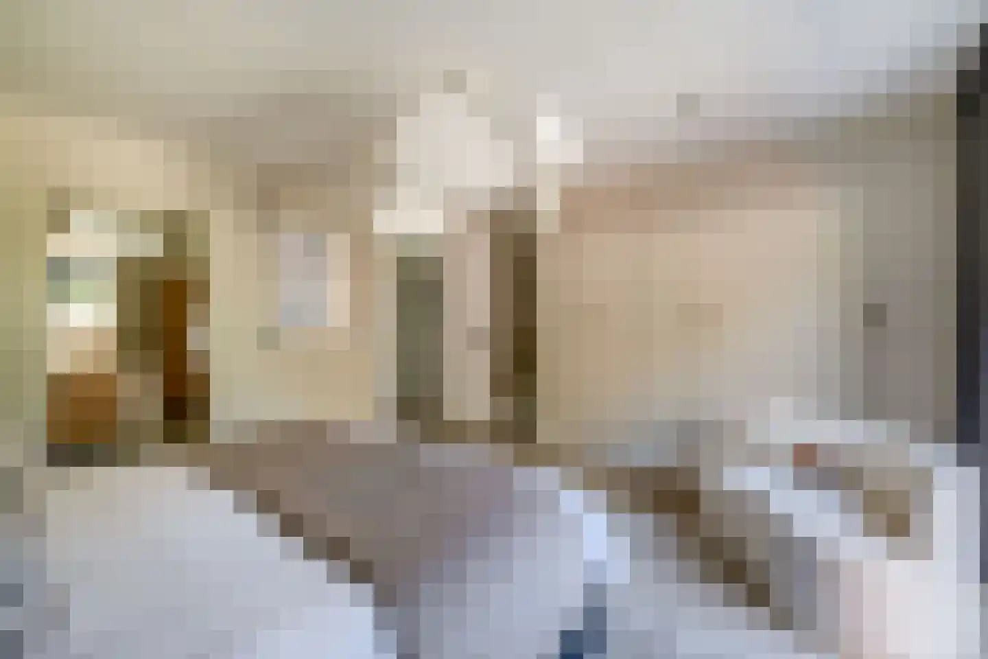 Meester J. de Vriesstraat 8 Julianadorp thumbnail 38