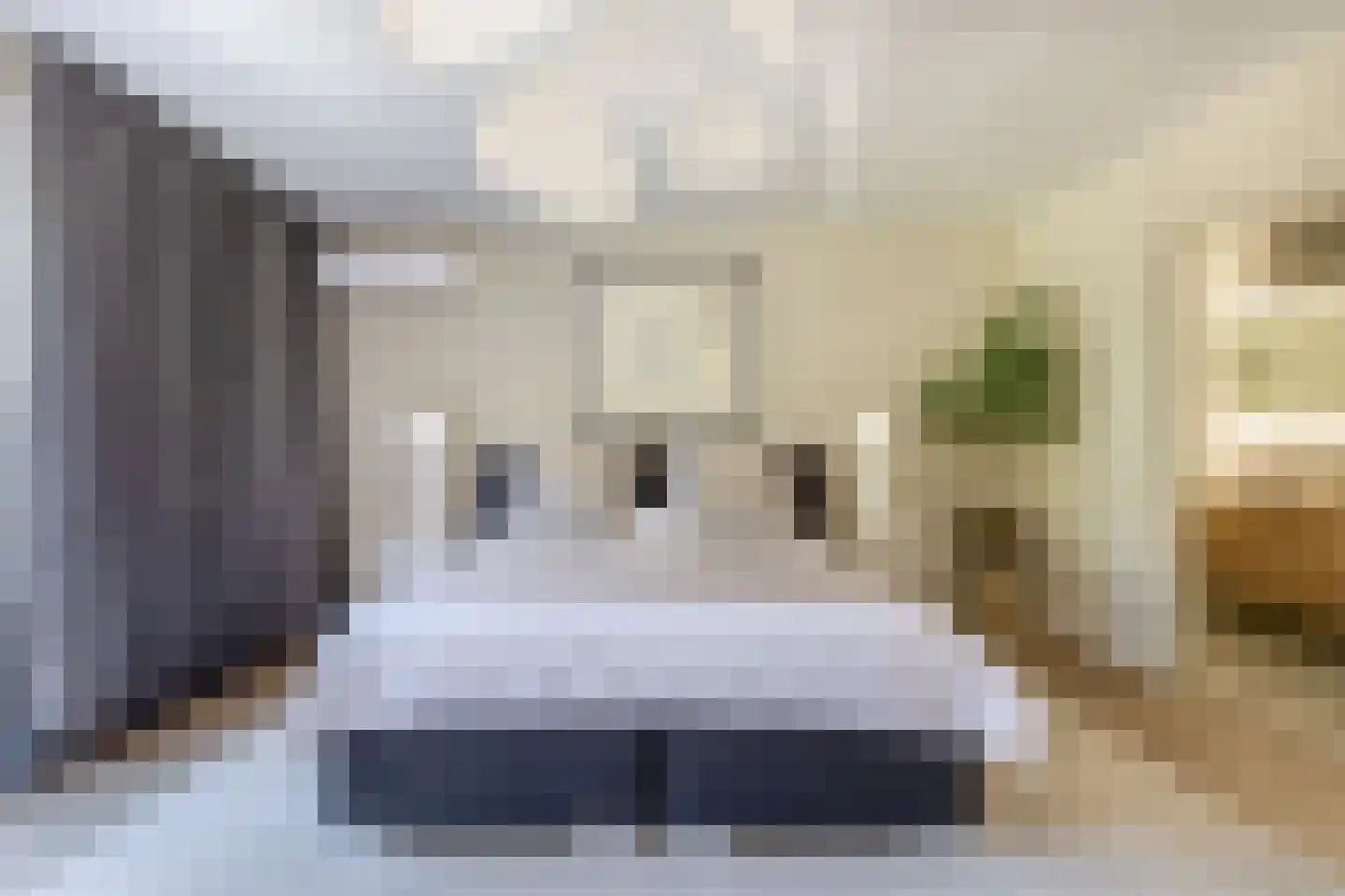 Meester J. de Vriesstraat 8 Julianadorp thumbnail 39