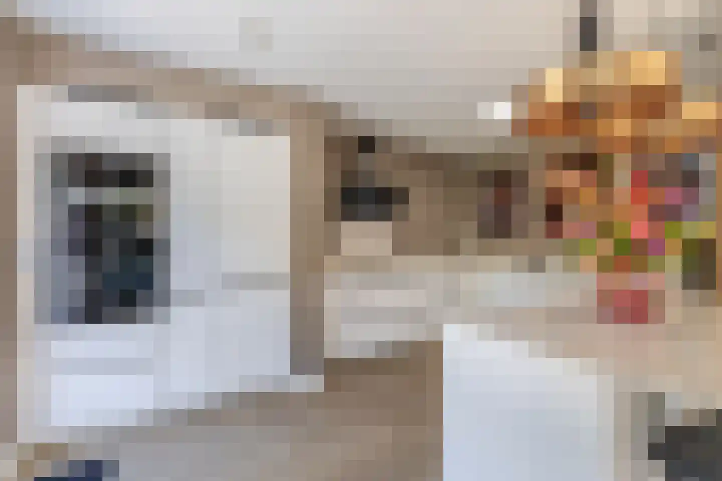 Meester J. de Vriesstraat 8 Julianadorp thumbnail 4