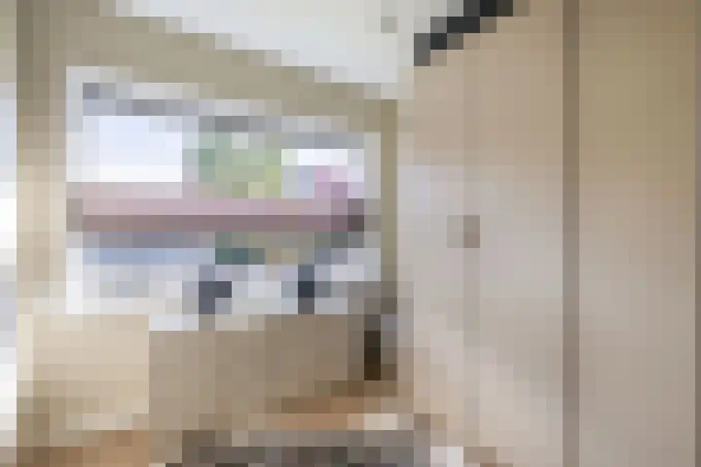 Meester J. de Vriesstraat 8 Julianadorp thumbnail 44