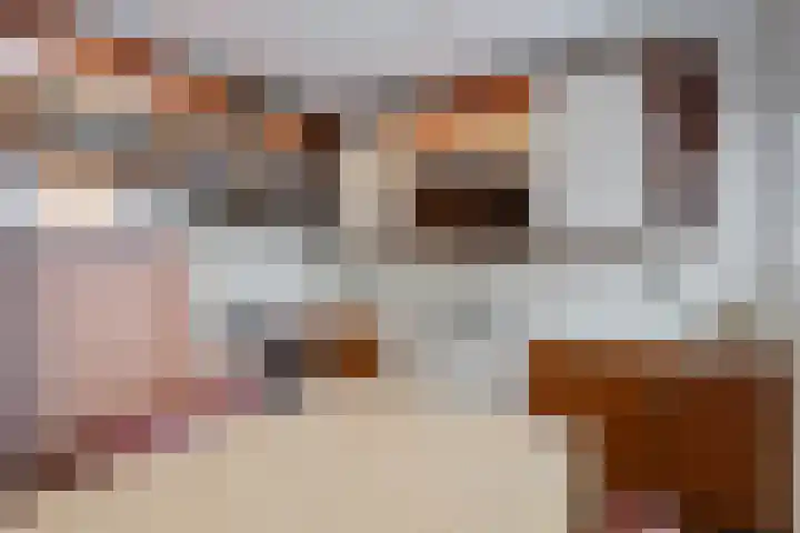 Meester J. Henderikxstraat 16 Julianadorp thumbnail 14